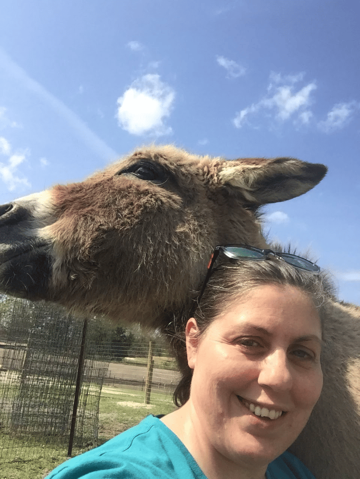After reiki with a donkey at an animal sancuary