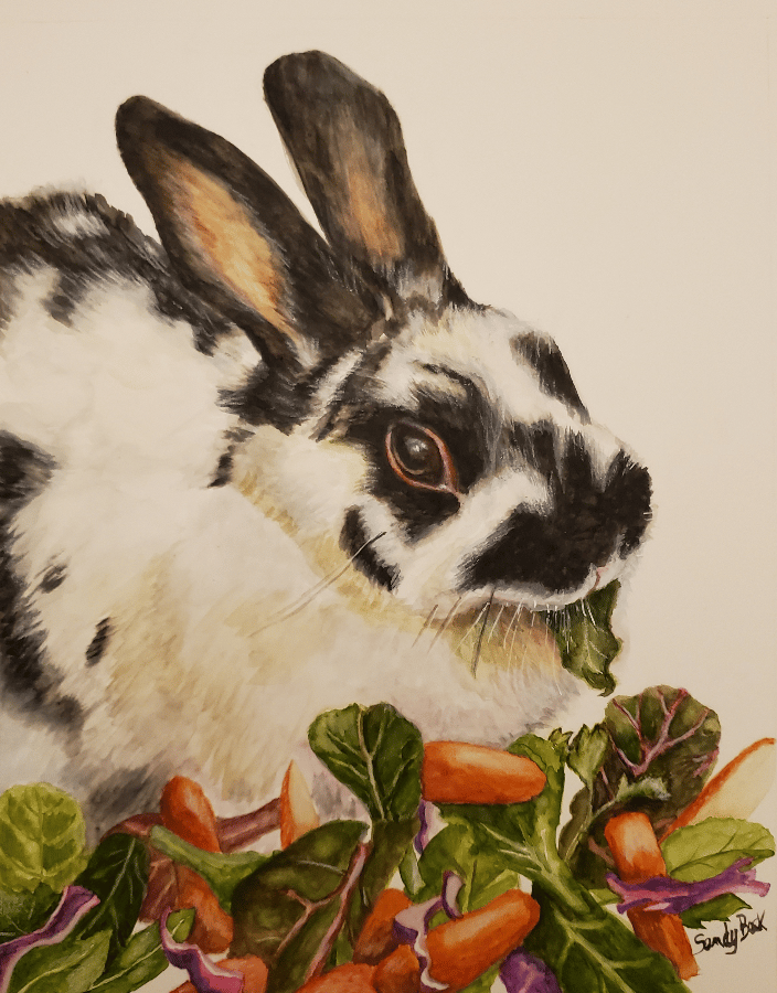 Bella's salad portrait