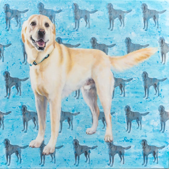 'Bernie' - Golden Lab - Oil and photo transfer on canvas - 30x36"