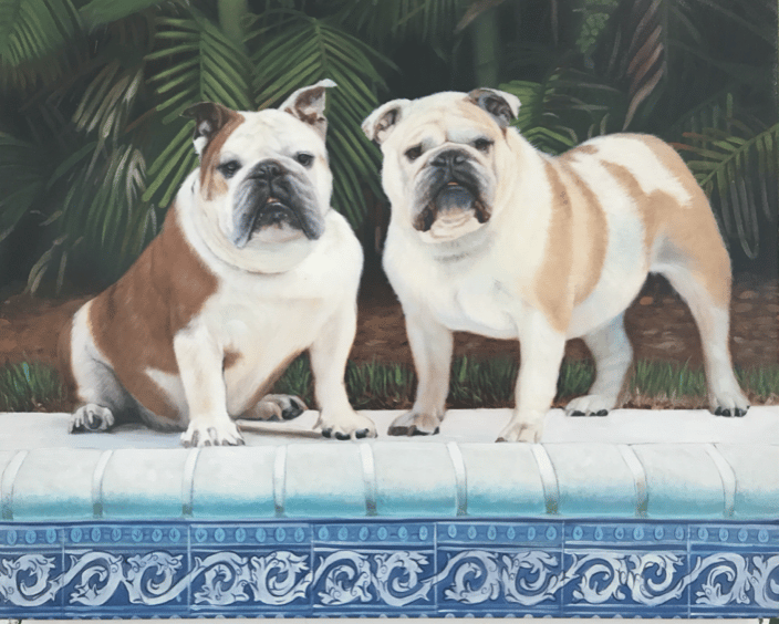 'Coco and Leyla' - English Bulldogs - Oil on canvas, 24x30" 