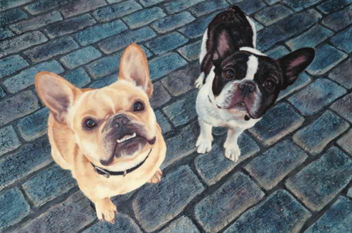 'Nacho and Panchito' - French Bulldogs - Oil on canvas, 18x24"
