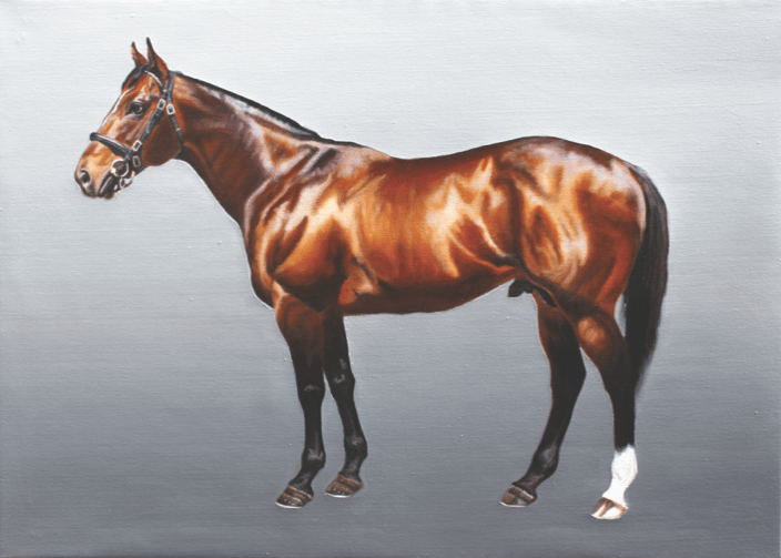'Shamardal' - Record holding Racehorse - Oil on canvas, 20 x 28"