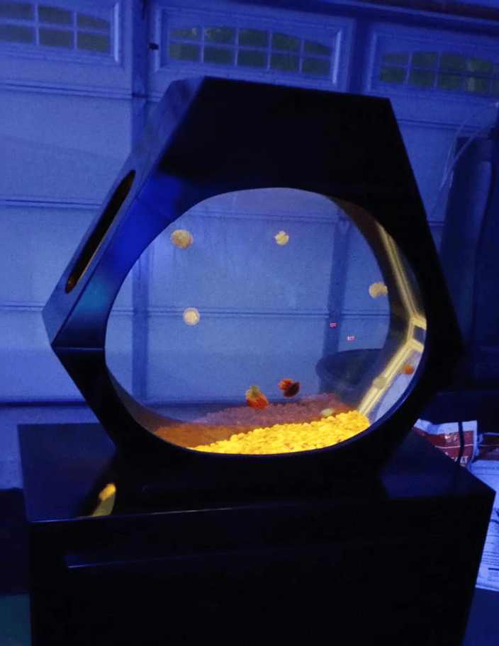 Jelly Fish Aquarium 