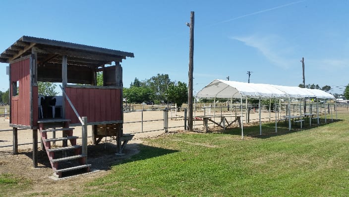 Horse Show area    Shandoni Ranch
