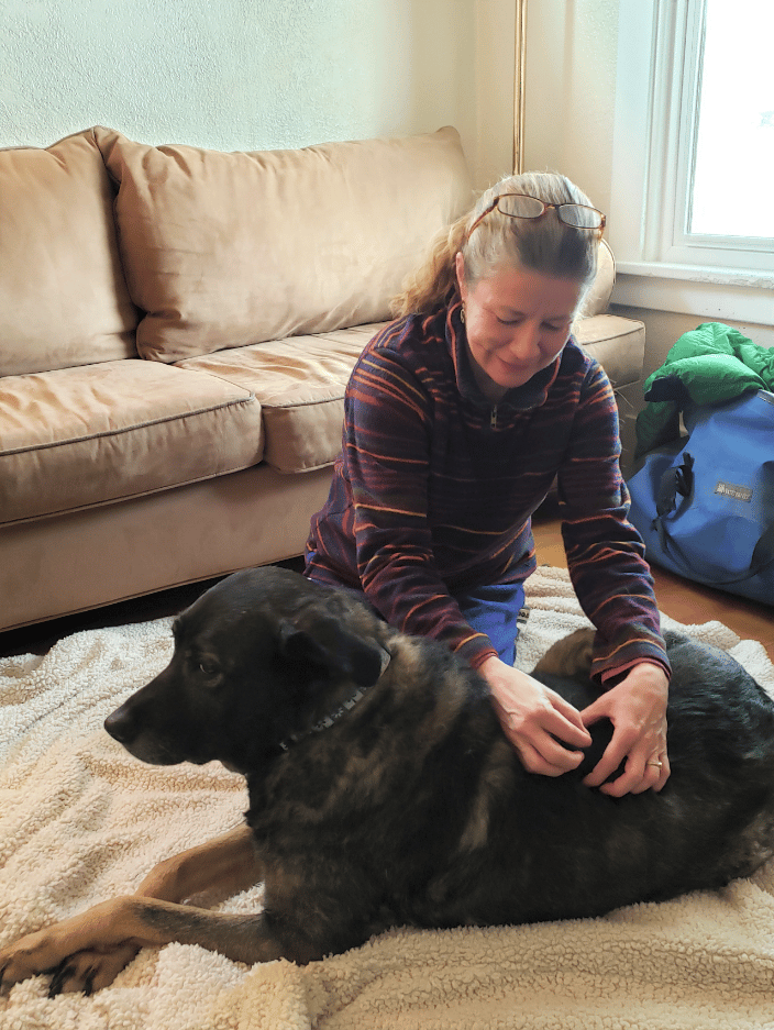In-home Veterinary Acupuncture