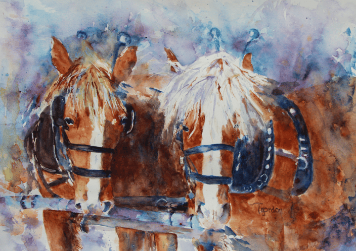 'Team Mates' - a pair of workhorses in harness