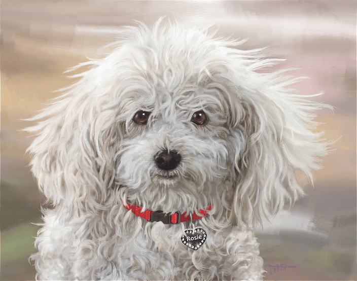 Rosie the Poodle (digital portrait on canvas)