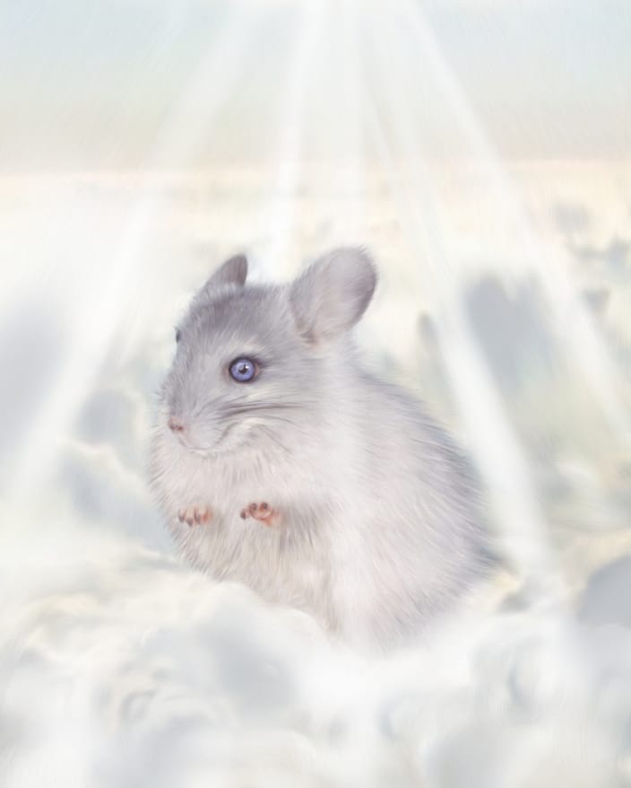 Chinchilla in Heaven (digital painting on paper)