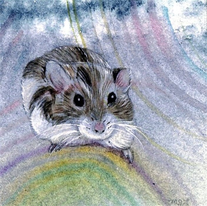 Meanie the Hamster (watercolor)