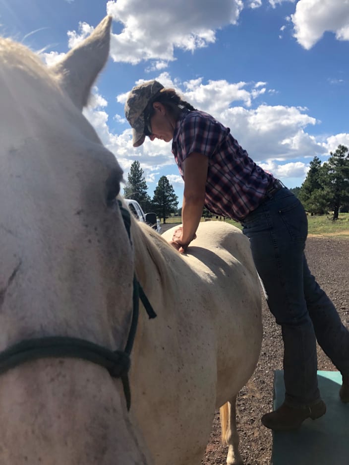 Adjusting a horse's spine