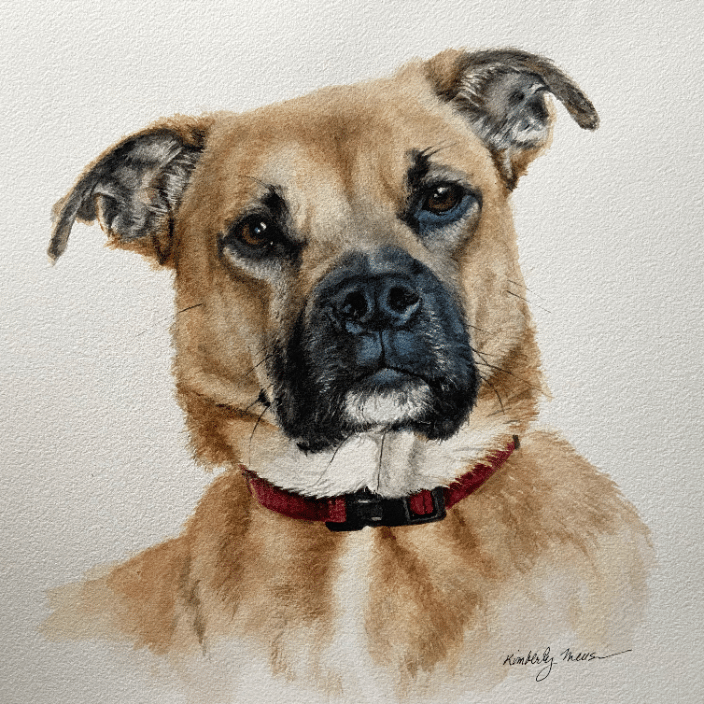 Chip 10x10 watercolor