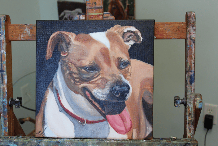 a pit bull mix pet portrait
