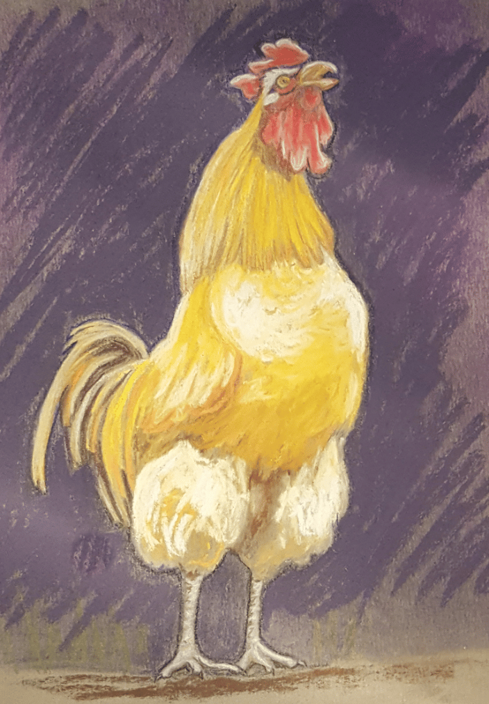 chicken pet portrait, mixed media