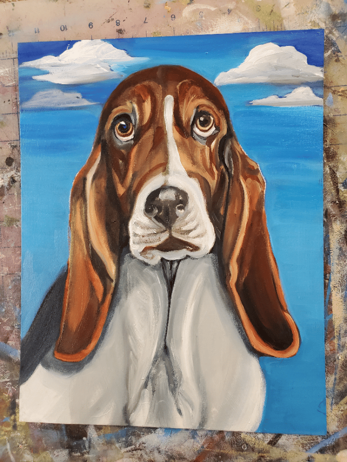 basset hound pet portrait