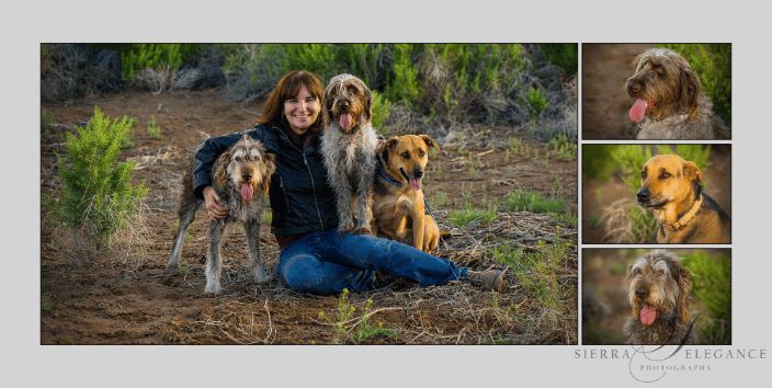 Lady with three dogs