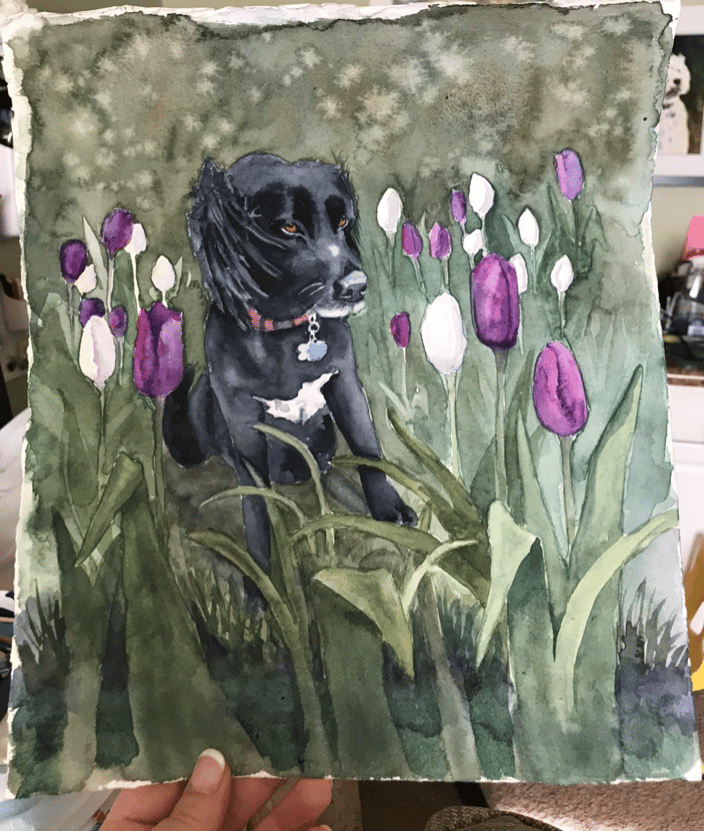 Sadie and tulips