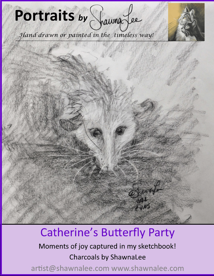 A from-life sketch of an opossum during the Catherine Violet Hubbard Sanctuary's Butterfly Party 2022 - rendered in Charcoals.