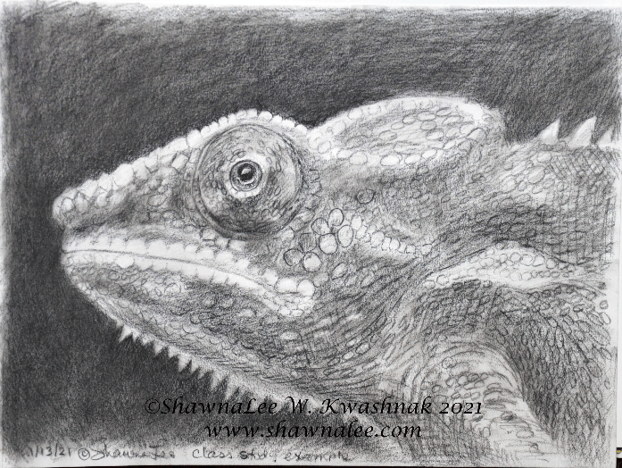 A chamelion rendered in Charcoals