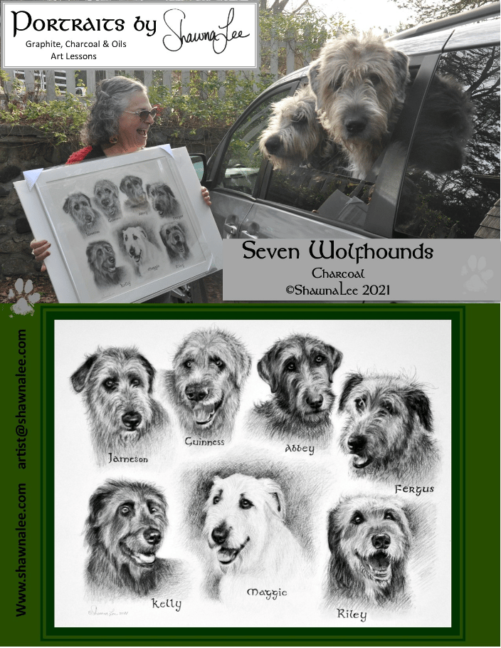 A montage of Seven Irish Wolfhounds in charcoals.