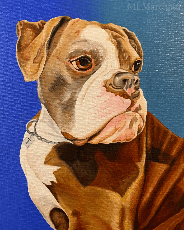 Custom oil painting of a Bull Dog.
