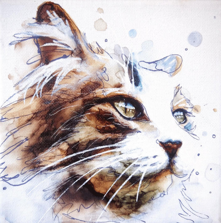 6x6 Cat Portrait