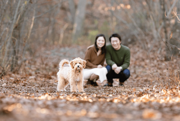 Puppy with their family in Stoneham