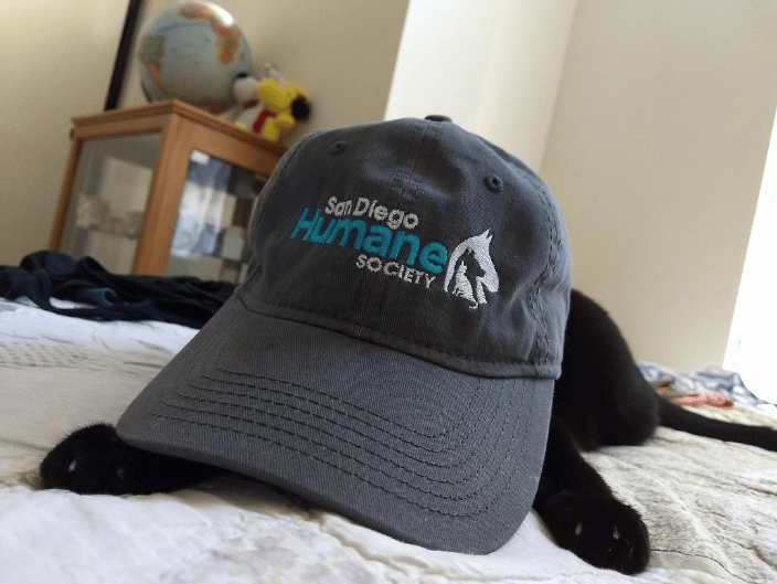 SD Humane Society cat hat