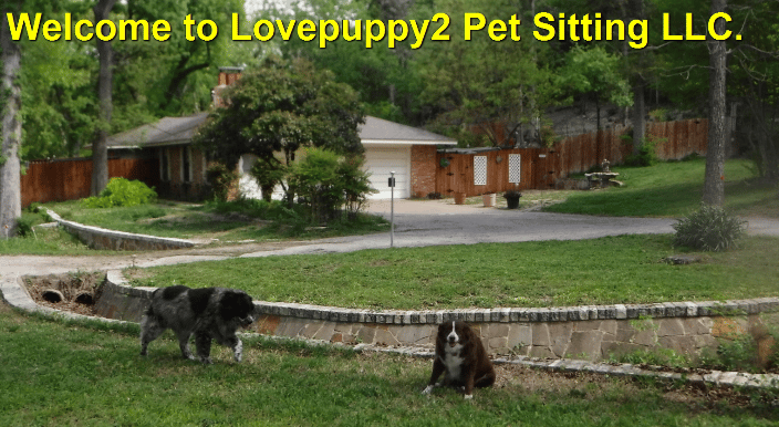 Wecome to Lovepuppy2 Pet Sitting LLC