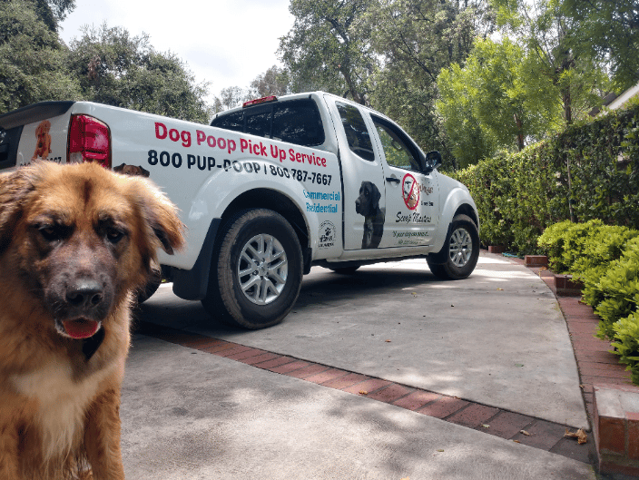 A dog and one of our trucks