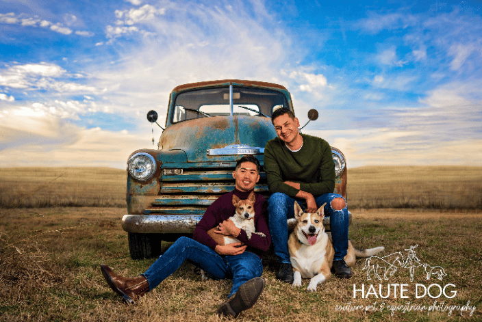 Couple sitting with their dogs on a vintage truck