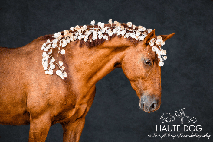Chestnut horse with gold leaves in mane