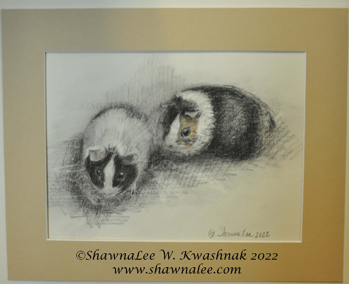 Two very sweet guinea pigs sketched from life during the St. George's Episcopal Church's Blessing of the Animals.  Aren't they precious? Charcoals with a hint of soft pastels.