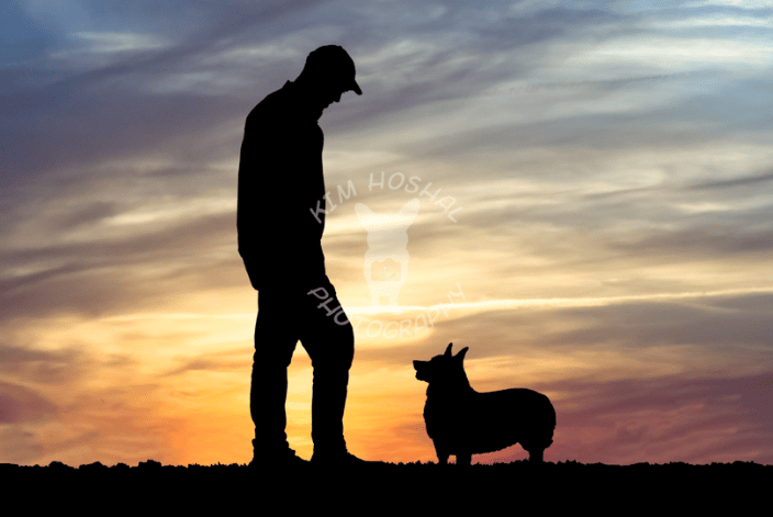 Silhouette of a man and his dog