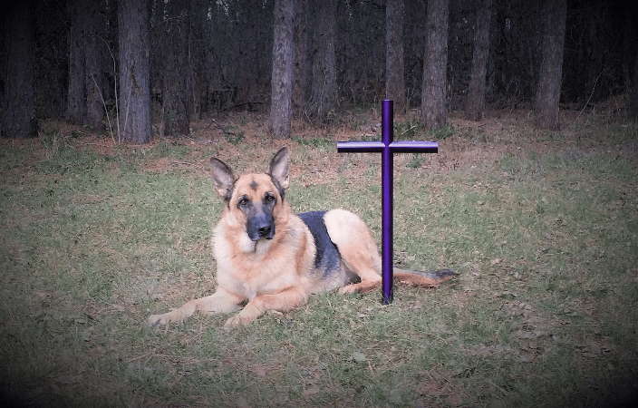 Pet Memorial Cross Purple Stainless