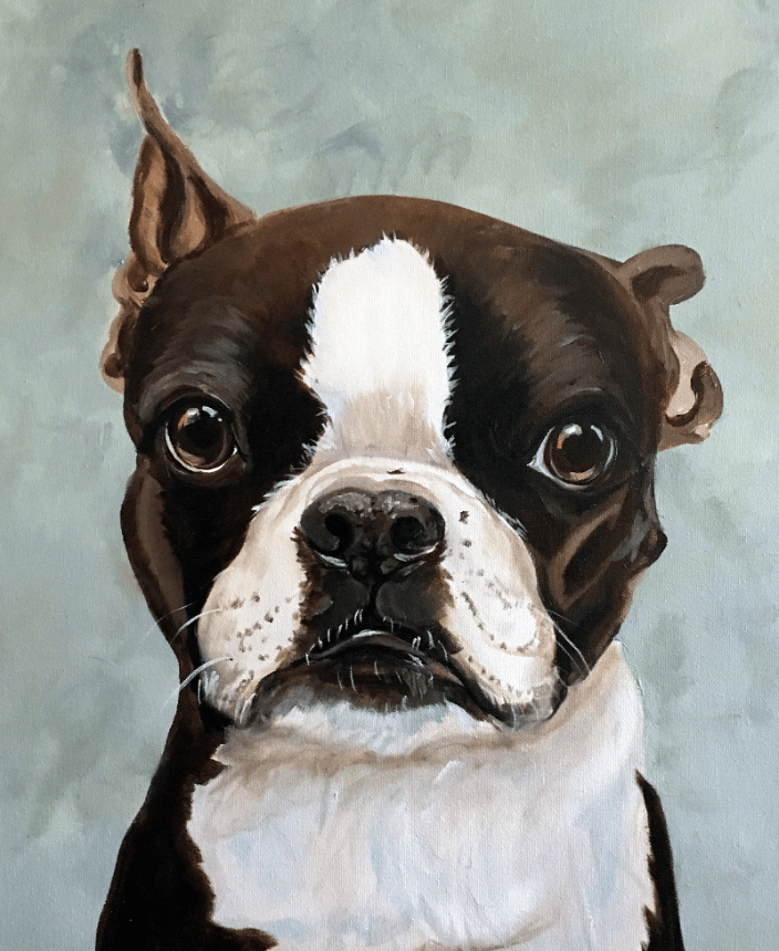 Boston Terrier Custom Portrait Painted by Artist Robin Zebley