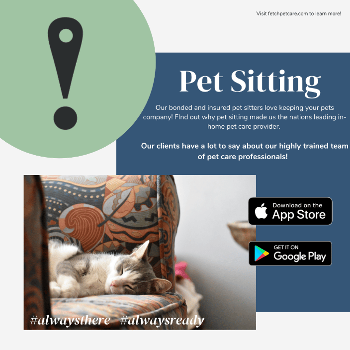 pet sitting