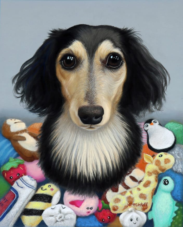 Commissioned Portrait of a long-haired Dachshund by artist Heather Mitchell. 16" x 20" pastel.