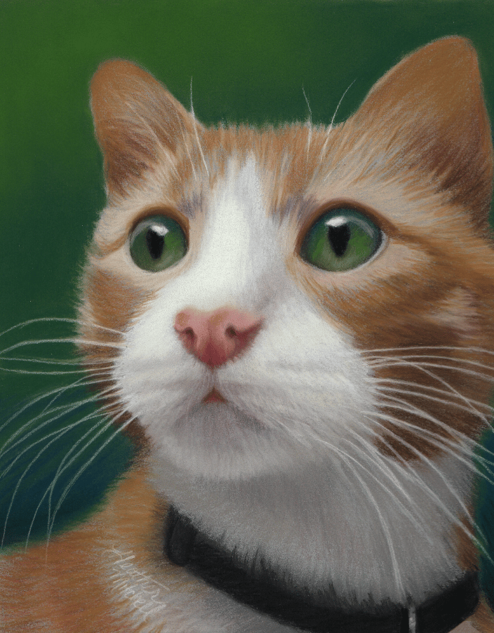 8" x 10" pastel portrait of a cat, by pet artist Heather Mitchell.