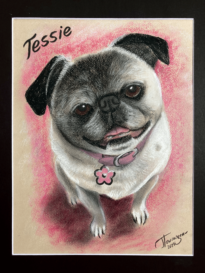 Pug traditional pastel portrait
