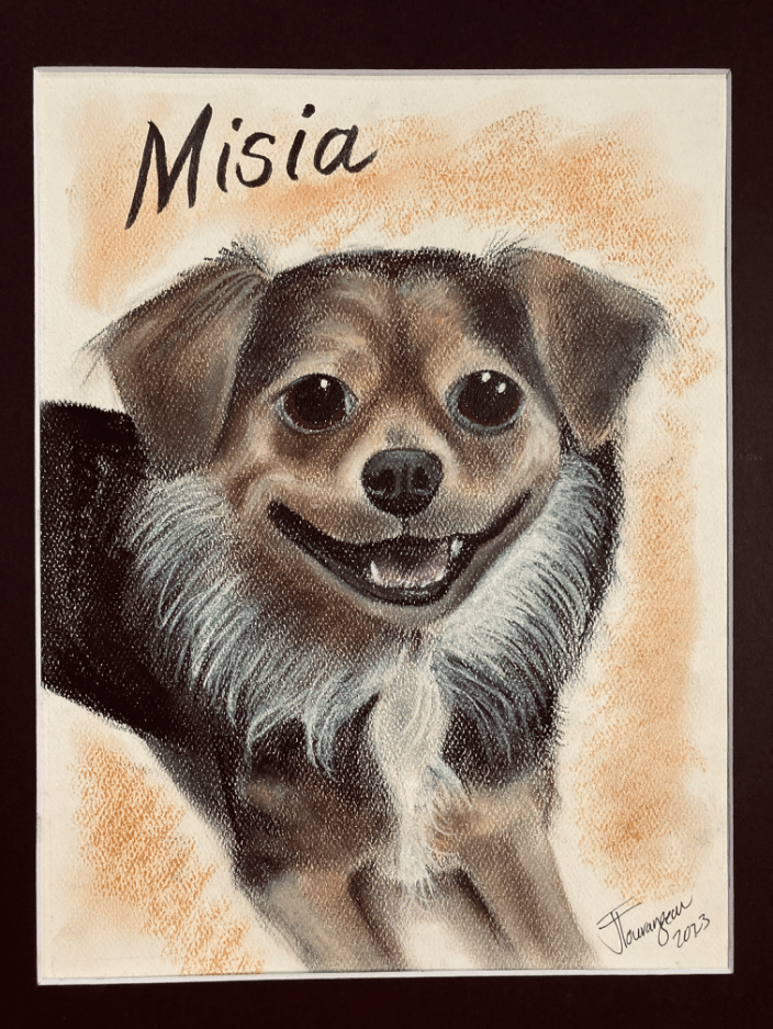 Long haired chihuahua traditional pastel portrait